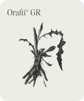 Orafti® GR