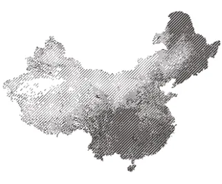 Ancient Mulberry Wisdom